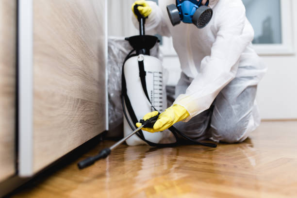Best Flea Control Services  in Poynette, WI