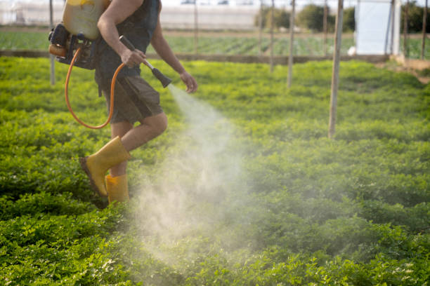 Best Local Pest Control Services  in Poynette, WI