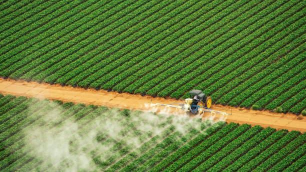 Professional Pest Control in Poynette, WI