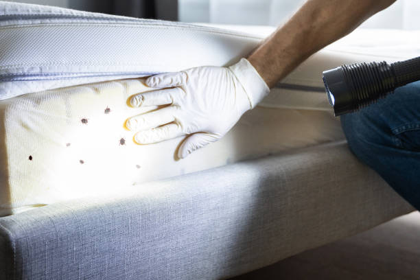 Best Emergency Pest Control  in Poynette, WI