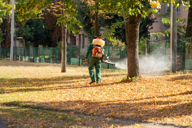 Best Wasp Removal Services  in Poynette, WI