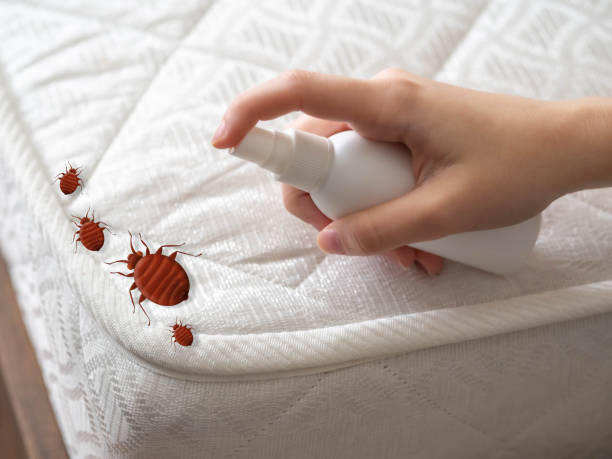 Best Residential Pest Control  in Poynette, WI