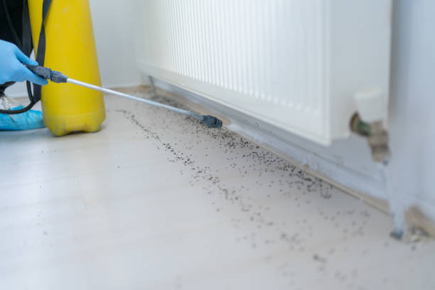 Best Insect Control  in Poynette, WI
