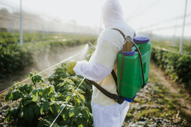 Best Best Pest Control Companies  in Poynette, WI